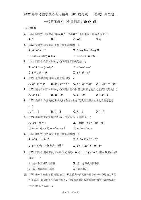 2022年中考数学核心考点精讲：《01数与式——整式》典型题——带答案解析(全国通用)