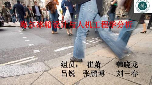 海尔冰箱设计法则与人机工程学分析报告