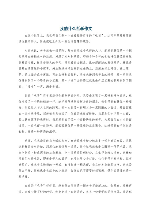 我的什么哲学作文