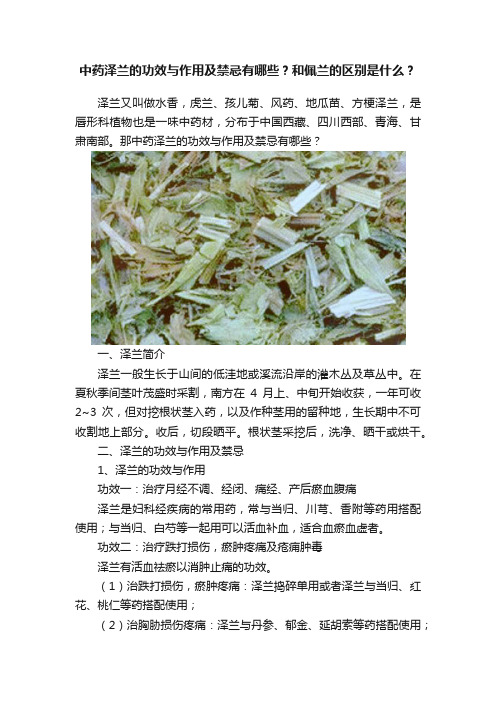 中药泽兰的功效与作用及禁忌有哪些？和佩兰的区别是什么？