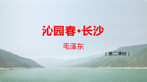 沁园春 长沙(第二课时)