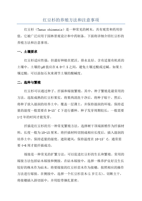 红豆杉的养殖方法和注意事项