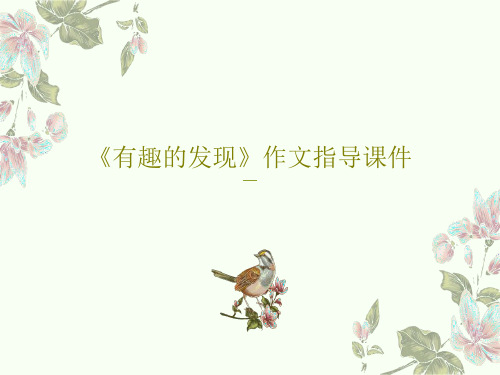 《有趣的发现》作文指导课件PPT40页