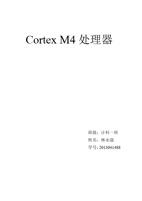 计科一班 林永强 Cortex M4处理器