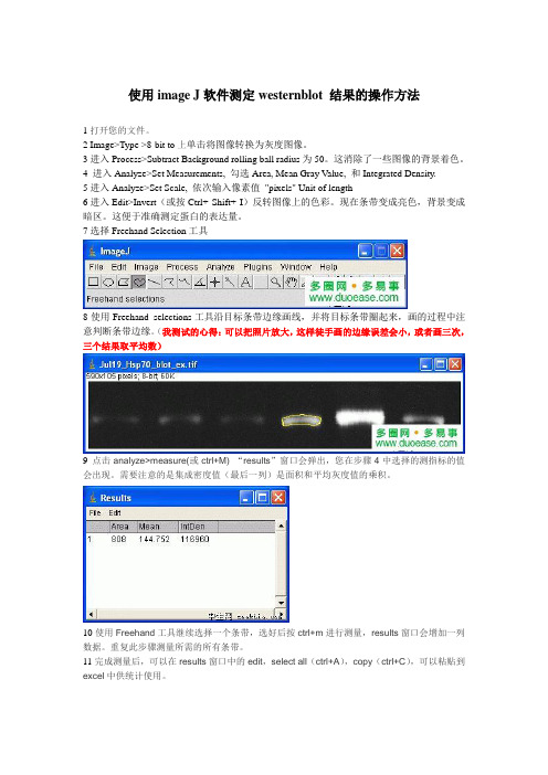 使用image J软件测定westernblot 结果的操作方法