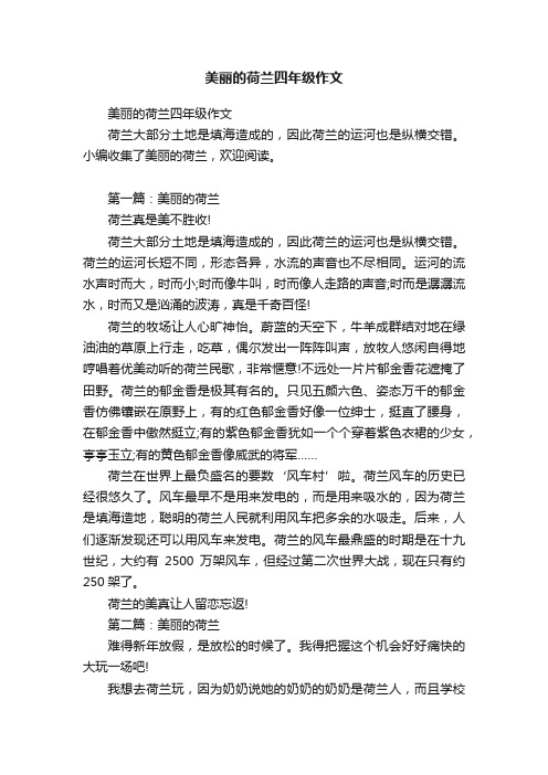 美丽的荷兰四年级作文