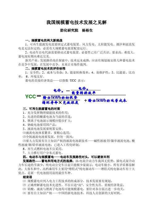 杨裕生：我国规模蓄电技术发展之见解