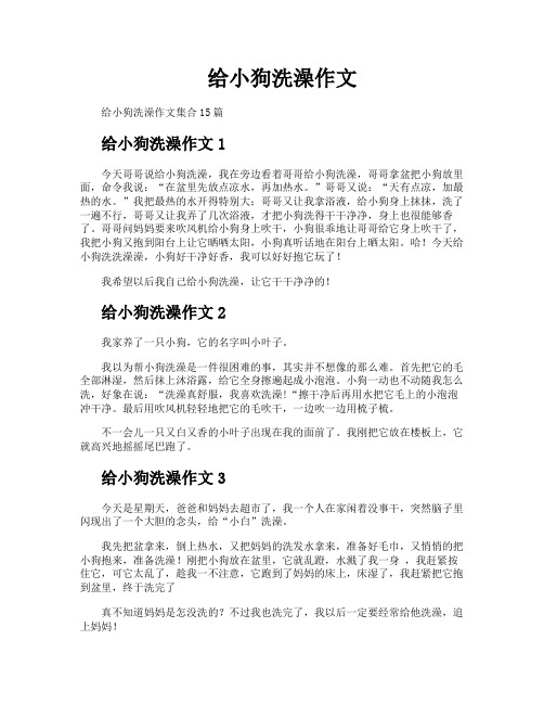 给小狗洗澡作文