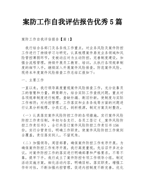 案防工作自我评估报告优秀5篇