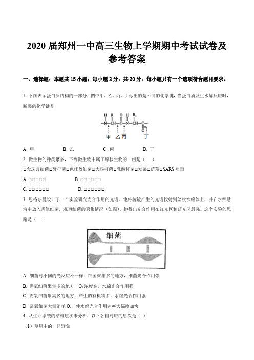 2020届郑州一中高三生物上学期期中考试试卷及参考答案