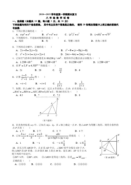 2018-2019学年度八年级上数学期末复习试卷(含答案)