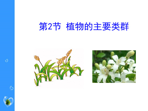 《植物的主要类群》ppt演示课件