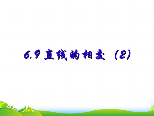 新浙教版数学七年级上册第六章《6.9直线的相交(2)》课件