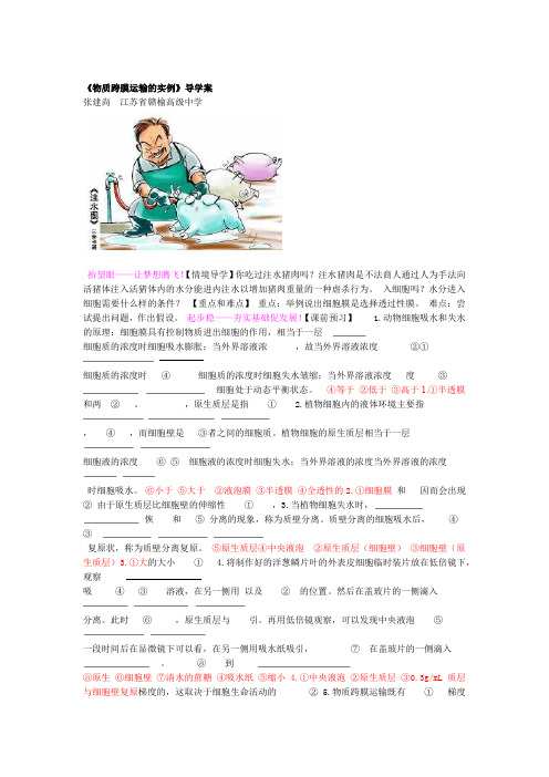 《物质跨膜运输的实例》导学案