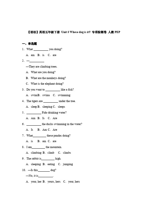 人教PEP版英语五年级下册 Unit 5 Whose dog is it？专项检测卷 (含答案)