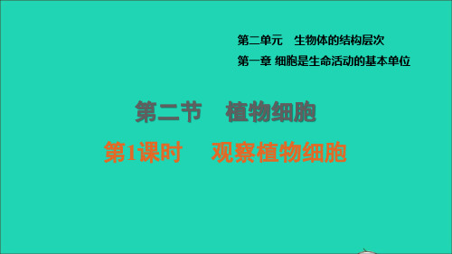 七年级生物上册第二单元生物体的结构层次第一章细胞是生命活动的基本单位第2节植物细胞第1课时观察植物细