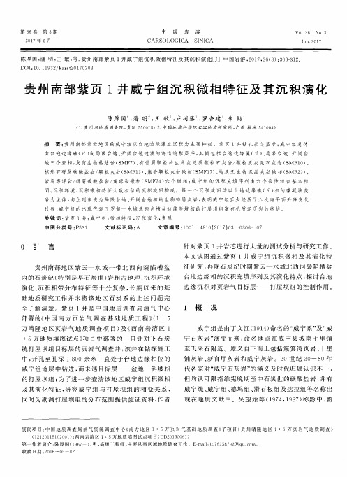 贵州南部紫页1井威宁组沉积微相特征及其沉积演化