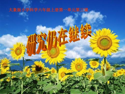 六年级科学上册1.3《研究仍在继续》 精品优选PPT课件3大象版
