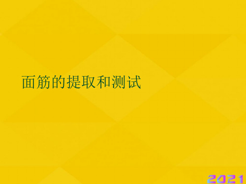 面筋的提取和测试优秀文档