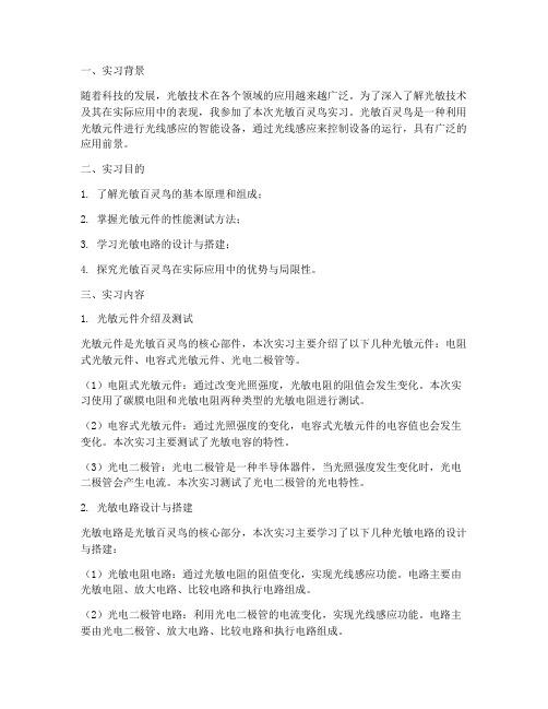 光敏百灵鸟实习报告