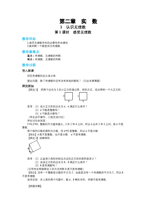 北师大版初中数学八年级(上)第二章实数2-1认识无理数(第1课时)教学详案