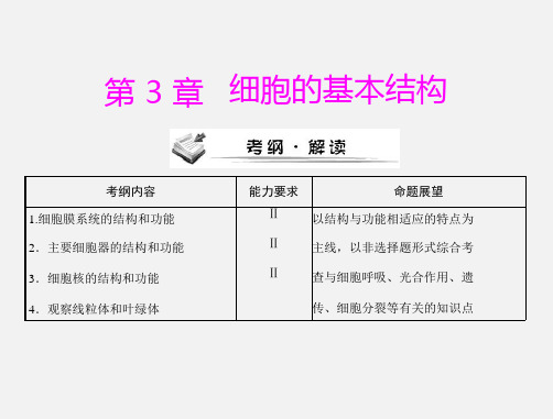 高考生物 一轮复习 第3章 第1节 细胞膜——系统的边界 新人教版必修1