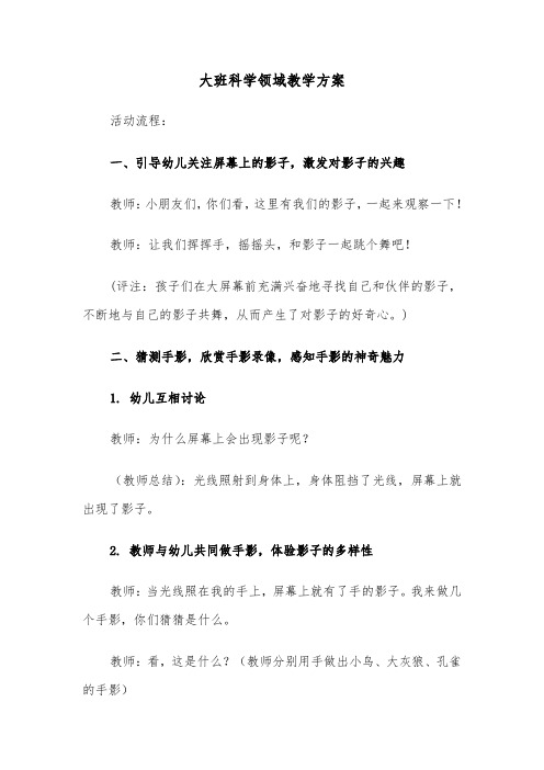 大班科学领域教学方案（七篇）