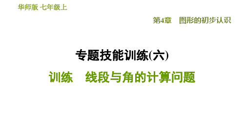 第4章 专题技能训练3 线段与角的计算问题 华师版七年级数学上册习题课件