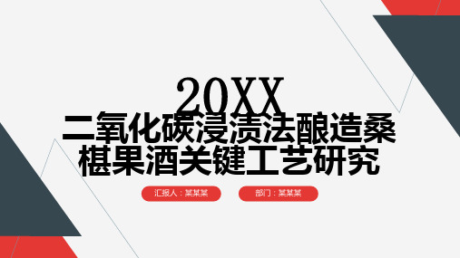 二氧化碳浸渍法酿造桑椹果酒关键工艺研究