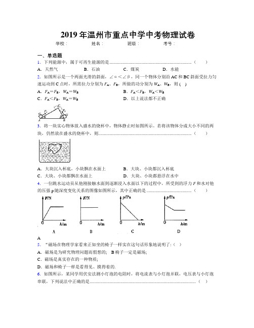 2019年温州市重点中学中考物理试卷