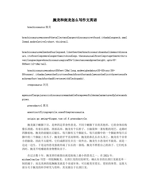 腕龙和剑龙怎么写作文英语