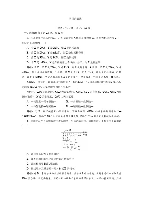 2017-2018学年人教版必修2  基因的表达 单元测试卷