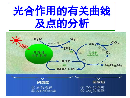 光合作用曲线及点的变化专题