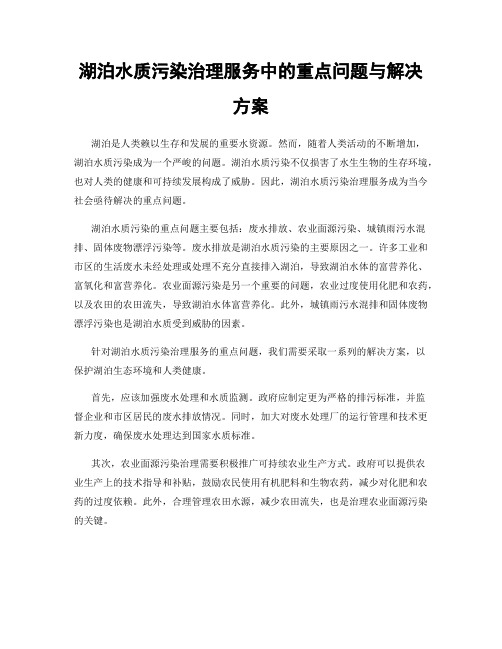 湖泊水质污染治理服务中的重点问题与解决方案