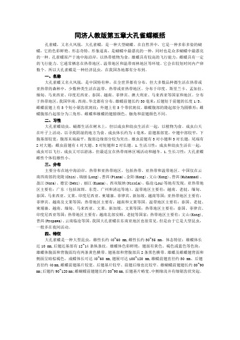 同济人教版第五章大孔雀蝶概括