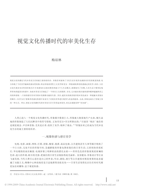 《视觉文化传播时代的审美化生存》,梅琼林,《文艺研究》2008年第6期