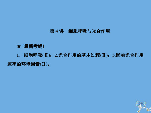 高考生物艺考生大二轮总复习上篇专题二细胞的代谢第4讲细胞呼吸与光合作用课件