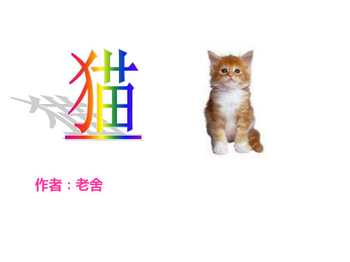 S版五年级语文下册《猫》PPT课件