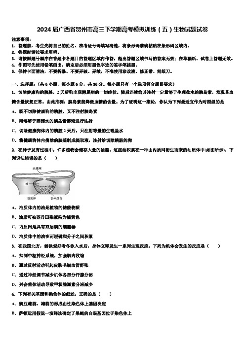 2024届广西省贺州市高三下学期高考模拟训练(五)生物试题试卷含解析