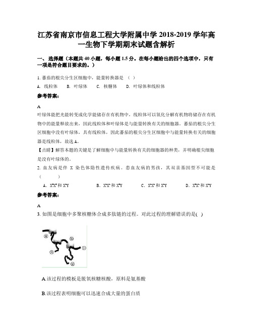 江苏省南京市信息工程大学附属中学2018-2019学年高一生物下学期期末试题含解析