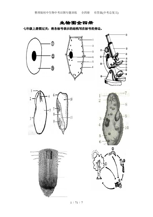 整理版初中生物中考识图专题训练   全四册   有答案(中考总复习)