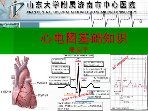 心电图基础知识