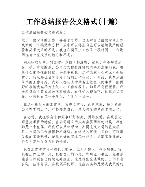 工作总结报告公文格式(十篇)