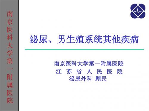 泌尿、男生殖系统的其他疾病