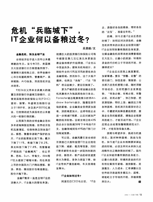 危机“兵临城下”,IT企业何以备粮过冬?