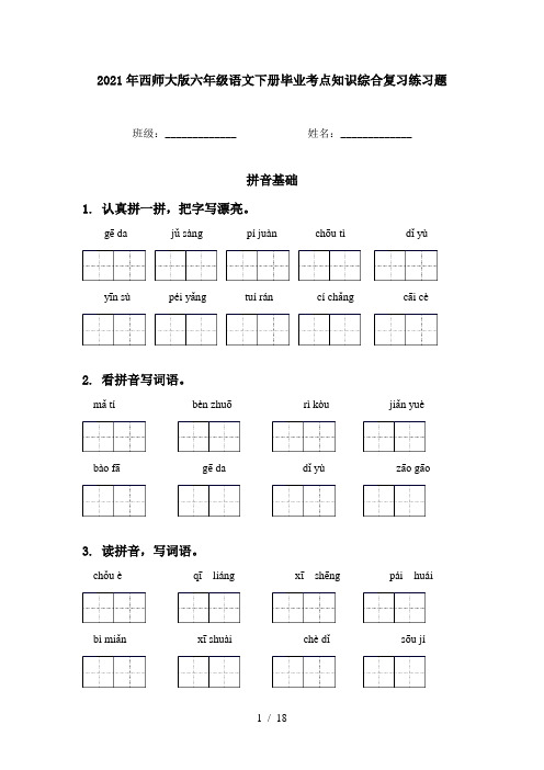 2021年西师大版六年级语文下册毕业考点知识综合复习练习题