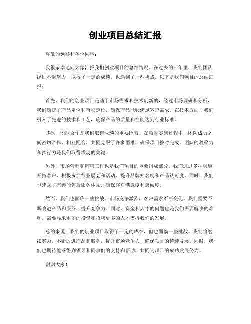 创业项目总结汇报