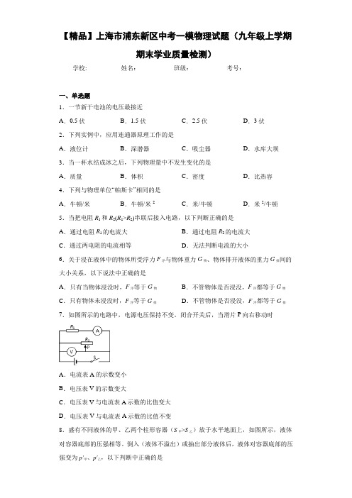 中考一模物理试题(九年级上学期期末学业质量检测)(答案解析)