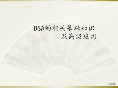 DSA的基本原理及运用