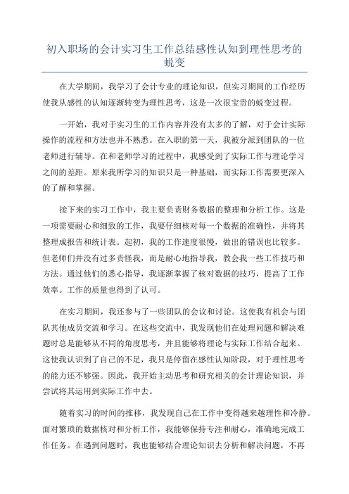 初入职场的会计实习生工作总结感性认知到理性思考的蜕变